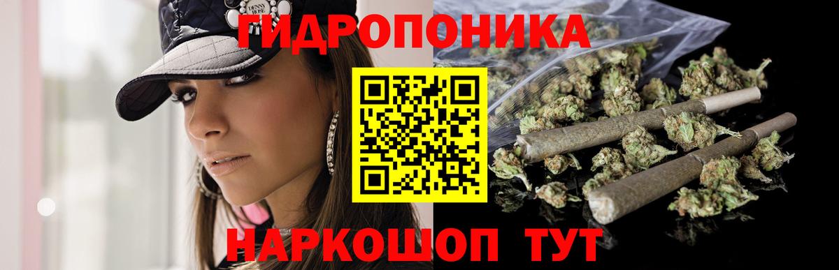 Бошки марихуана планчик Моздок